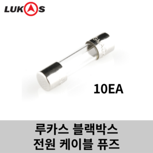 퓨즈